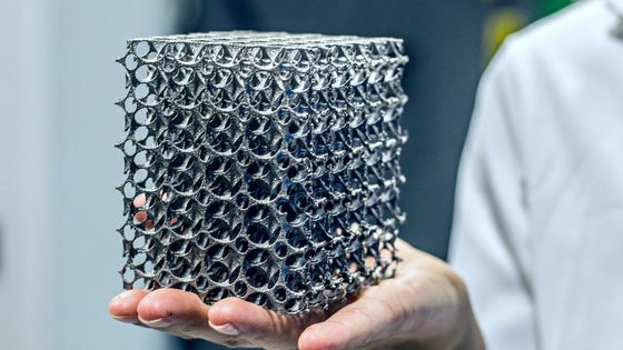 Servizio di stampa 3D OEM / ODM