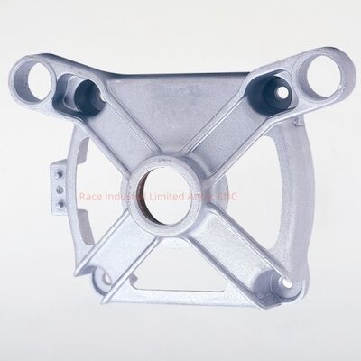 ISO/TS16949:2009 Certified Aluminum Die Casting Components with Multi Cavity Mold Production and Customizable Surface Finish (Componenti di fusione di alluminio certificati con produzione di stampi a cavità multipla e finitura di superfici personalizzabili)